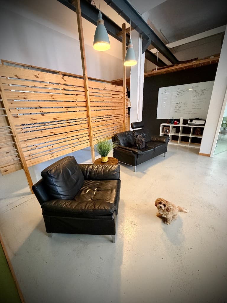 Our office dog Goldi in the modern ProtocolHero Office in Cologne-Ehrenfeld